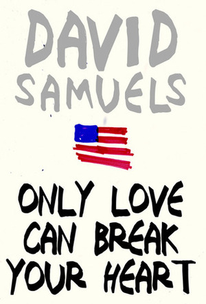 Only Love Can Break Your Heart by David Samuels