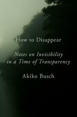 How to Disappear: Notes on Invisibility in a Time of Transparency by Akiko Busch
