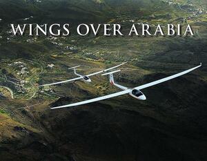 Wings Over Arabia by Roger Harrison
