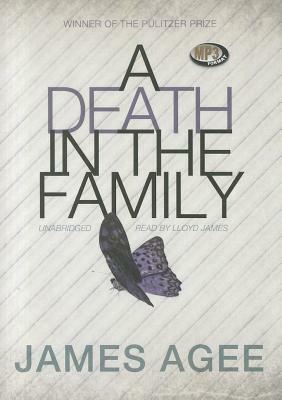 A Death in the Family by James Agee