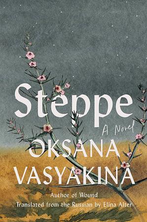 Steppe by Oksana Vasyakina