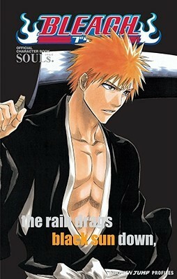 Bleach SOULs. Official Character Book by Tite Kubo