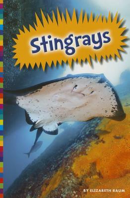 Stingrays by Elizabeth Raum