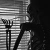 wolvenhunter's profile picture
