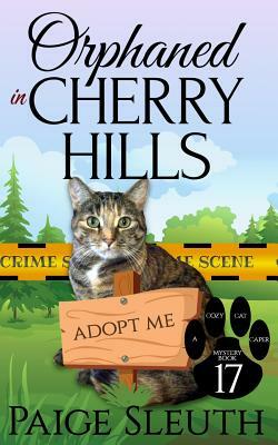 Orphaned in Cherry Hills by Paige Sleuth