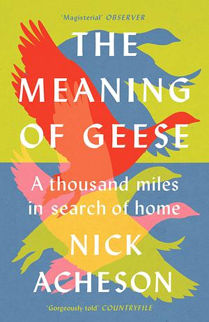 The Meaning of Geese: A Thousand Miles in Search of Home by Nick Acheson