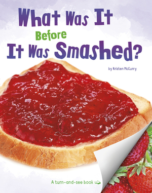 What Was It Before It Was Smashed? by Kristen McCurry