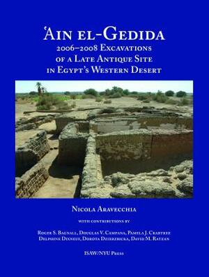 'ain El-Gedida: 2006-2008 Excavations of a Late Antique Site in Egypt's Western Desert (Amheida IV) by Nicola Aravecchia