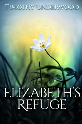 Elizabeth's Refuge: An Elizabeth and Darcy Story by Timothy Underwood