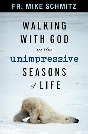 Walking with God in the Unimpressive Seasons of Life by Mike Schmitz, Mike Schmitz