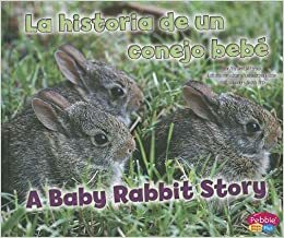 La Historia de Un Conejo Beb�/A Baby Rabbit Story by Jeni Wittrock