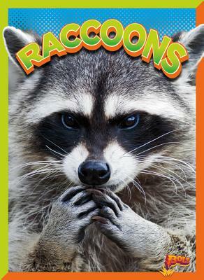 Raccoons by Gail Terp