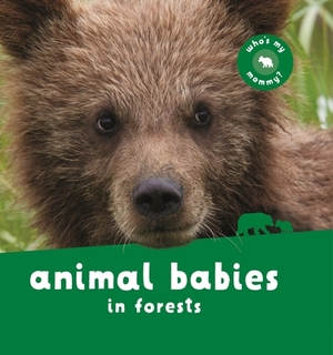 Animal Babies in Rain Forests by Kingfisher Publications, Kingfisher Publications