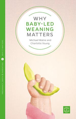 Why Stating Solids Matters by Amy Brown, Amy Brown