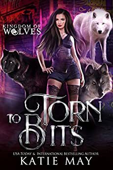 Torn to Bits by Katie May