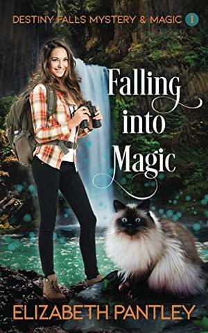 Falling Into Magic: by Elizabeth Pantley, Elizabeth Pantley