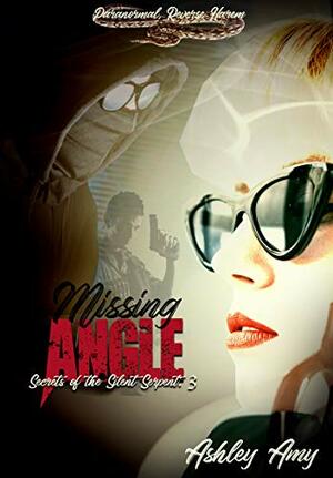 Missing Angle by Ashley Amy