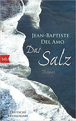 Das Salz by Jean-Baptiste Del Amo