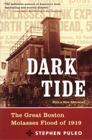 Dark Tide: The Great Molasses Flood of 1919 by Stephen Puleo