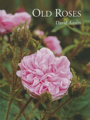 Old Roses by David Austin