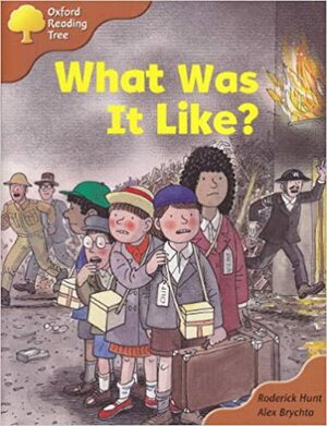 What Was It Like? by Roderick Hunt