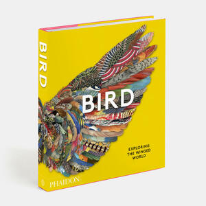 Bird: Exploring the Winged World by Carolyn Fry, Jen Lobo, Phaidon Press