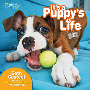 It's a Puppy's Life by Seth Casteel