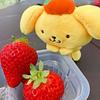 autumnbear's profile picture