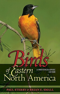 Birds of Eastern North America: A Photographic Guide by Brian E. Small, Paul Sterry