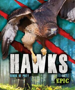 Hawks: Birds of Prey by Nathan Sommer