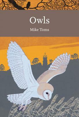 Owls by Mike Toms