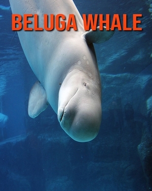 Beluga Whale: Incredible Pictures and Fun Facts about Beluga Whale by William Doyle