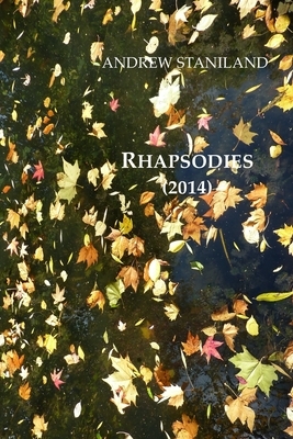 Rhapsodies (2014) by Andrew Staniland