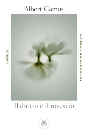 Il diritto e il rovescio by Albert Camus