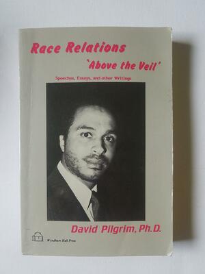 Race Relations "above the Veil": Speeches, Essays, and Other Writings by David Pilgrim