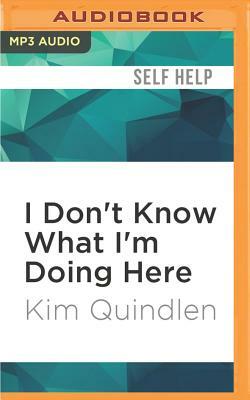 I Don't Know What I'm Doing Here by Kim Quindlen