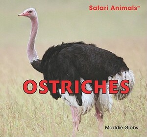 Ostriches by Maddie Gibbs