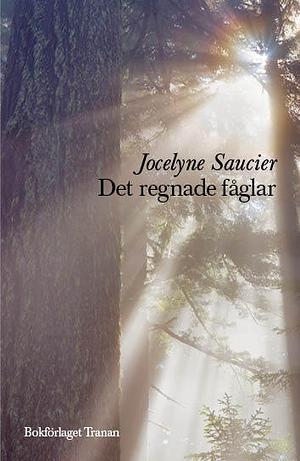 Det regnade fåglar by Jocelyne Saucier, Magdalena Sørensen