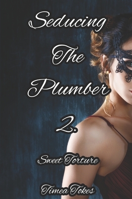 Seducing the Plumber 2: Sweet Torture: A Short Erotic Story (Straight) by Timea Tokes