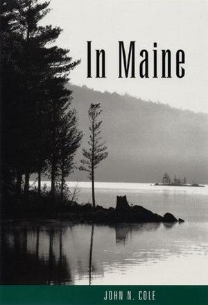 In Maine by John N. Cole