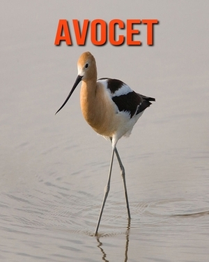 Avocet: Learn About Avocet and Enjoy Colorful Pictures by Diane Jackson