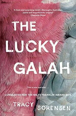 The Lucky Galah by Tracy Sorensen