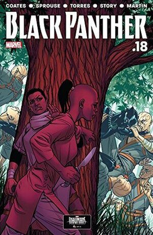 Black Panther #18 by Chris Sprouse, Brian Stelfreeze, Wilfredo Torres, Ta-Nehisi Coates
