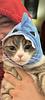 makobocab's profile picture