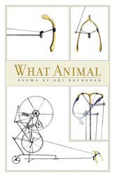 What Animal by Oni Buchanan