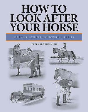 How to Look After Your Horse: Essential Skills and Professional Tips by Peter Brookesmith