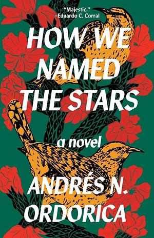 How We Named the Stars by Andrés N. Ordorica