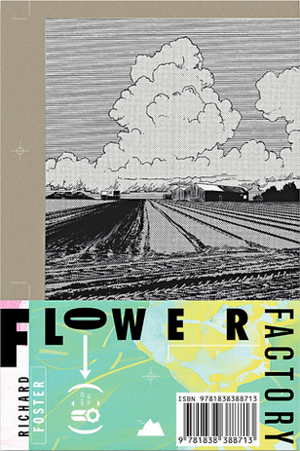 Flower Factory: A Fairy Tale by Richard Foster