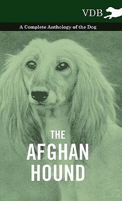 The Afghan Hound - A Complete Anthology of the Dog by Various