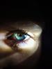 nrc_of_holsteingottorp's profile picture